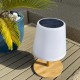 Lampe de table Solaire STANDY MINI WOOD SOLAR - Capteur solaire