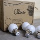 Lot de 12 ampoules LED LB-Light B22 1W Blanc Chaud Incassables (équivalence 15W) pour Guirlande Extérieure