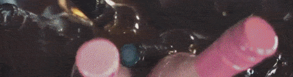 testgif